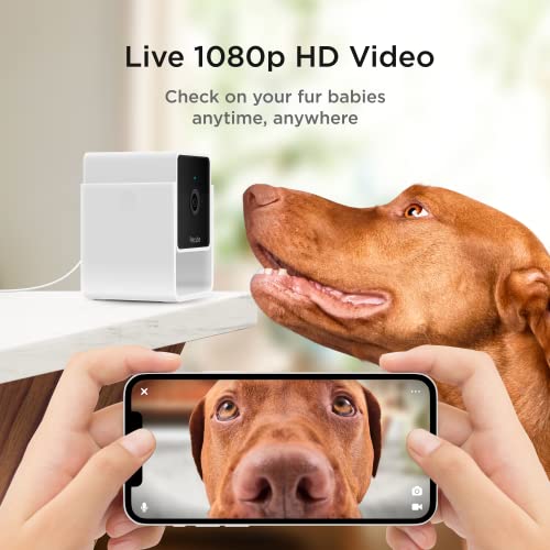 Petcube Cam Indoor Wi-Fi Pet and Security Camera with Phone App, Pet Monitor with 2-Way Audio and Video, Night Vision, 1080p HD Video and Smart Alerts for Ultimate Home Security