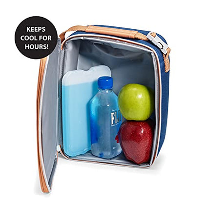 Fit & Fresh XL Cool Coolers Freezer Slim Ice Pack for Lunch Box, Set of 4, Xtra Large, Blue, 4 count (Pack of 1)