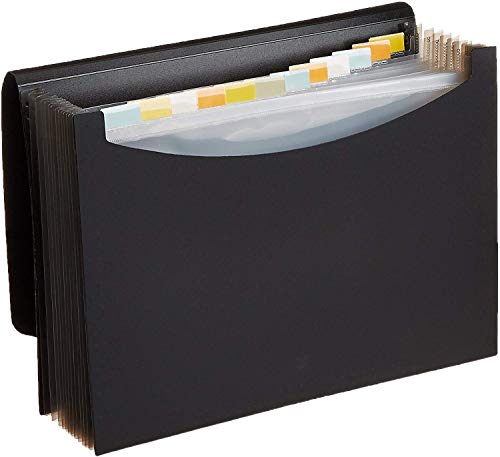 Amazon Basics Expanding Organizer File Folder, Letter Size - Black, 1-Pack