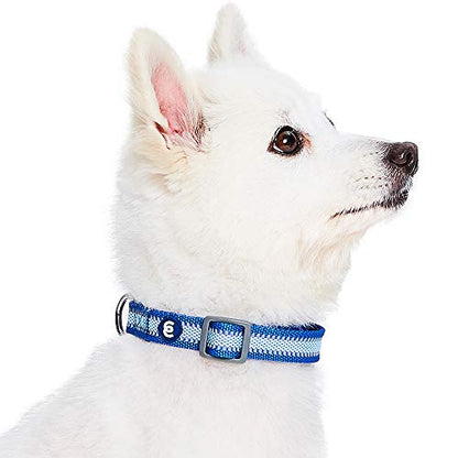 Blueberry Pet Essentials Reflective Back to Basics Adjustable Dog Collar, Navy Blue, Large, Neck 18"-26"