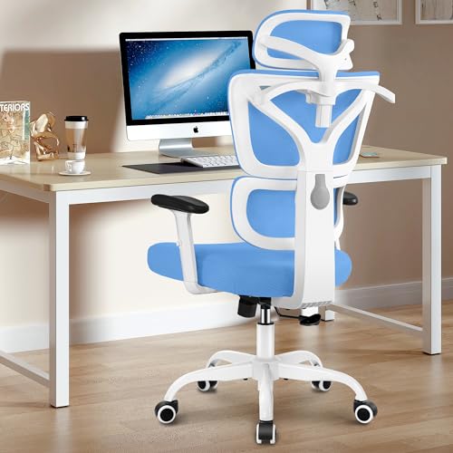 Winrise Office Chair Ergonomic Desk Chair, High Back Gaming Chair, Big and Tall Reclining chair Comfy Home Office Desk Chair Lumbar Support Breathable Mesh Computer Chair Adjustable Armrests(Sky Blue)