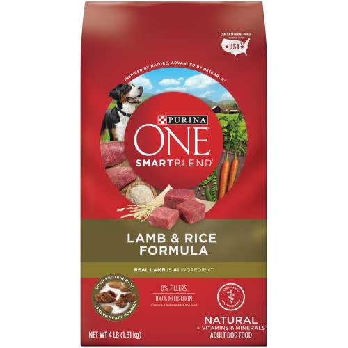 Purina ONE Dry Dog Food Lamb and Rice Formula - 31.1 lb. Bag
