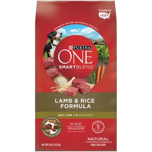 Purina ONE Dry Dog Food Lamb and Rice Formula - 8 lb. Bag