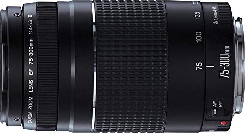 Canon EF 75-300mm f/4-5.6 III Telephoto Zoom Lens for Canon SLR Cameras (Renewed)