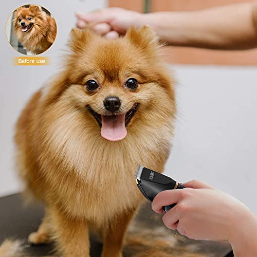 Dog Clippers Professional Heavy Duty Grooming Clipper 3-Speed Low Noise High Power Rechargeable Cordless Pet Tools for Small & Large Dogs Cats Pets with Thick Coats