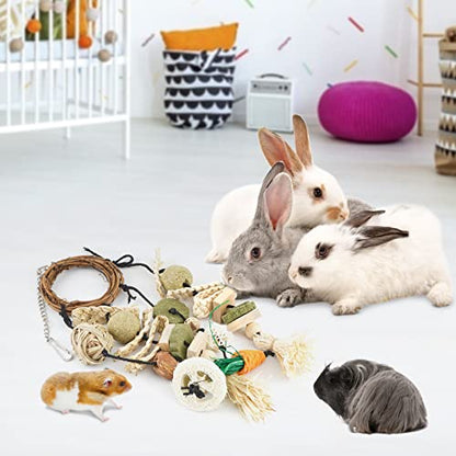 Bissap Bunny Chew Toy, Rabbits Cage Hanging Chew Toys and Treats Rattan Ring with Snacks for Guinea Pigs Chinchillas Hamsters Rats and Other Small Pets Teeth Grinding