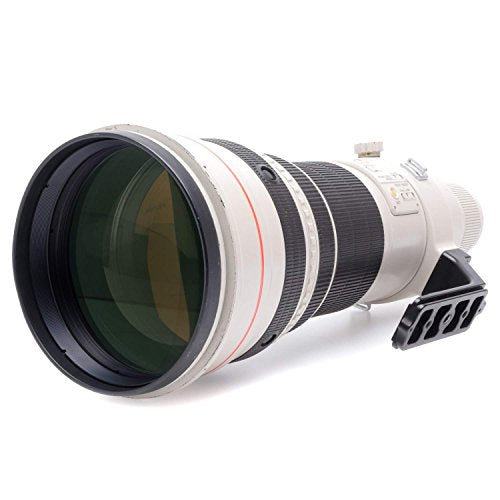 Canon EF 600mm f/4L IS USM Super Telephoto Lens for Canon SLR Cameras