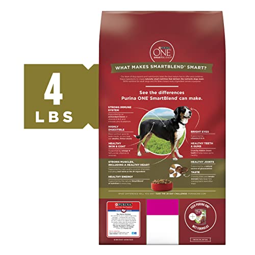 Purina ONE Dry Dog Food Lamb and Rice Formula - 31.1 lb. Bag