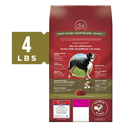 Purina ONE Dry Dog Food Lamb and Rice Formula - 31.1 lb. Bag