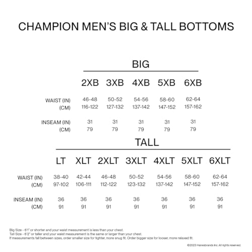 Champion Men's Joggers, Powerblend, Fleece Joggers, Sweatpants for Men (Reg. or Big & Tall)