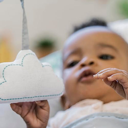 Ity by Ingenuity Bouncity Bounce Vibrating Deluxe Baby Bouncer Seat, 0-6 Months Up to 20 lbs (Goji)