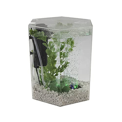 Tetra Bubbling LED Aquarium Kit 1 Gallon, Hexagon Shape, With Color-Changing Light Disc,Green (Packaging may vary)