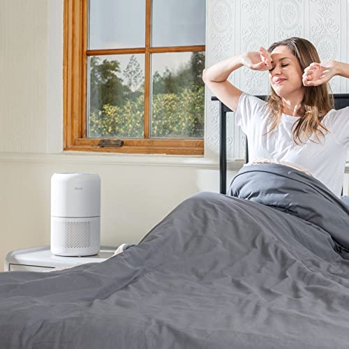 LEVOIT Air Purifier for Home Allergies Pets Hair in Bedroom, Covers Up to 1095 Sq.Foot Powered by 45W High Torque Motor, 3-in-1 Filter, Remove Dust Smoke Pollutants Odor, Core 300, White