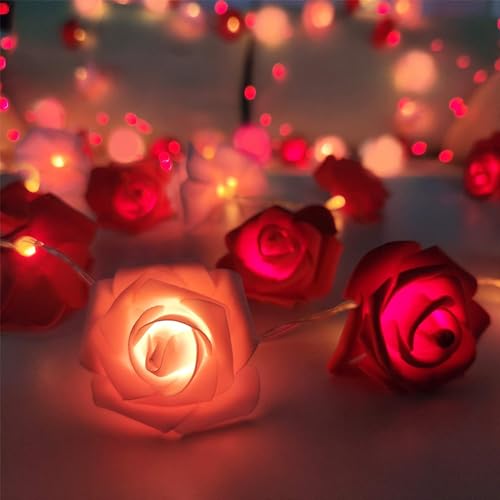 TURNMEON 7Ft 20 Led Valentines Rose Lights,Valentines Day Decor Red Pink Rose Fairy Lights Battery Operated Artificial Rose Flowers Garland Valentines Decoration Home Indoor Outdoor(Warm White)