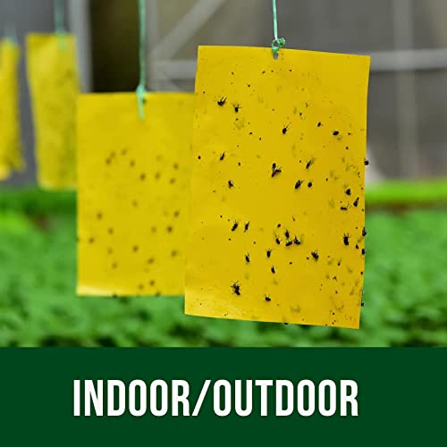 Garsum 20 Pack Gnat Sticky Traps for Indoor and Outdoor, Fruit Fly Paper Sheets Yellow Insect Killer for Flying,Whitefly, Aphids, Leafminers- 6x8 in, Twist Ties Included