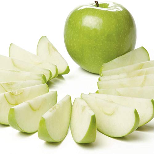 PrepWorks by Progressive Dishwasher Safe 16-Slice Thin Apple Slicer and Corer with Attached Safety Cover