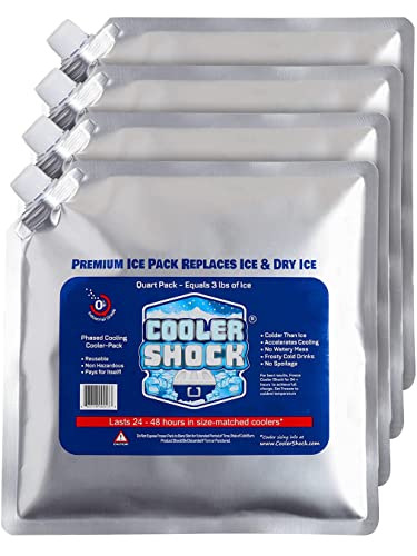 Cooler Shock Reusable Ice Packs for Cooler, Ice Packs for Lunch Bags, Long-Lasting Cold Freezer Packs for Lunch Boxes, Cooler Accessories for School, Beach and Fishing, Camping Gifts, 4 Pack