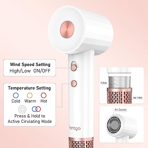 Fentgo Ionic Hair Dryer, Professional High Speed Blow Dryer with Brushless Motor for Fast Drying, Smooth Nozzle, Low Noise, Lightweight, Thermo-Control Bowdryer for Women Home Travel (White)