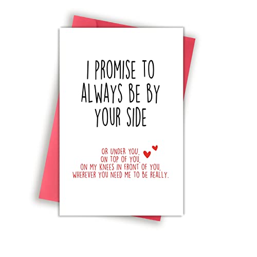 Funny Valentines Day Card With Envelope, Naughty Anniversary Birthday Card for Boyfriend Husband Fiance Girlfriend Wife Fiancee, I Promise to Always Be by Your Side…