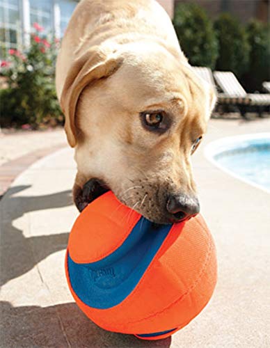 Chuckit! Kick Fetch Ball Dog Toy, Small (6 Inch)