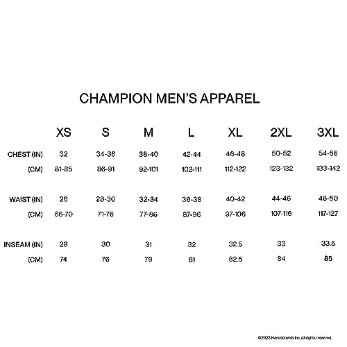 Champion Men's Hoodie, Powerblend, Fleece Striped Sweatshirt for Men (Reg. or Big & Tall)