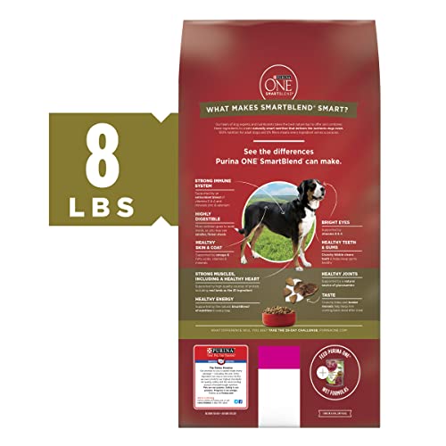 Purina ONE Dry Dog Food Lamb and Rice Formula - 8 lb. Bag