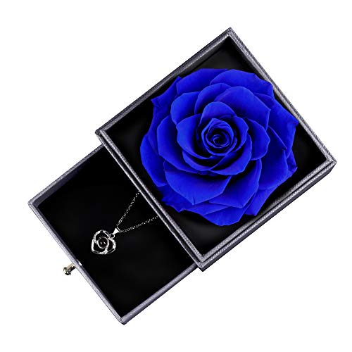 Ocosy Mothers Day Flower Gifts for Her, Preserved Real Flower Rose with Silver-Tone Heart Necklace I Love You in 100 Languages Gift Set, Enchanted Flower Rose Gifts, Blue