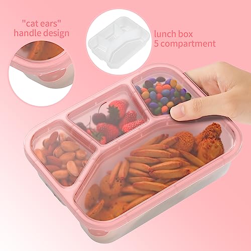 XGXN Bento Box Adult Lunch Box (4 Pack), 4-Compartment Meal Prep Container for Kids, Reusable Food Storage Containers with Transparent Lids, No BPA, Microwaveable (Transparent (Red/Green/Blue/Purple))