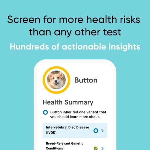 Embark | Dog DNA Test | Breed & Health Kit | Breed Identification & Canine Genetic Health Screening