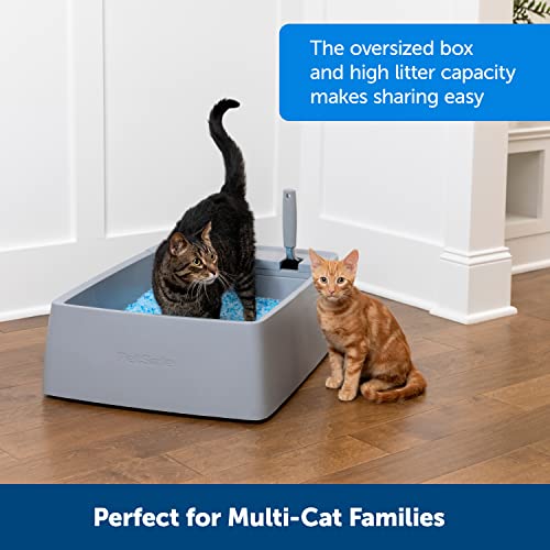 PetSafe Multi-Cat Litter Box - Extra Large, Jumbo Litter Box for Multiple Cats - Giant Litter Pan Includes Large, Ergonomic Scooper - Hidden Waste Compartment - Compatible with All Litter Types