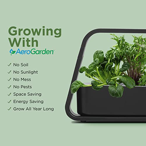 AeroGarden Sprout with Gourmet Herbs Seed Pod Kit - Hydroponic Indoor Garden, Black