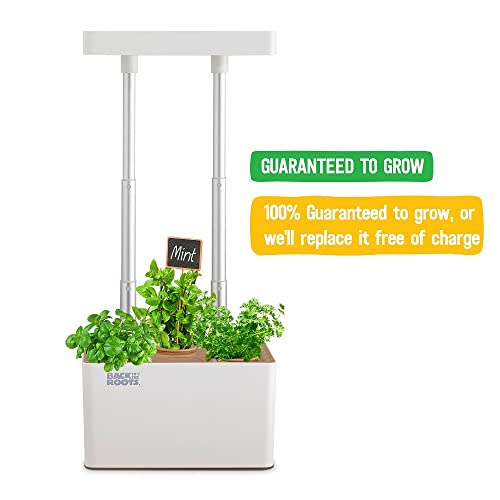 Back to the Roots Hydroponic Grow Kit, Indoor Garden (Matte White), Organic Seeds Included, Gardening Gift, Everything Included