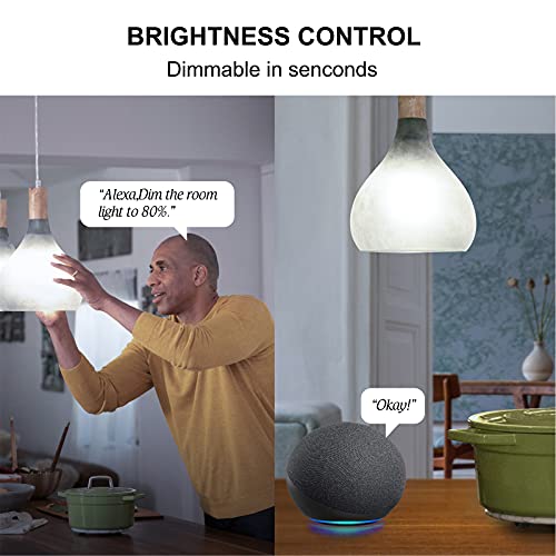 Sengled Alexa Light Bulb, WiFi Bulbs, Smart Bulbs, Smart Bulbs That Work with Alexa and Google Assistant, A19 Daylight (5000K) No Hub Required, 800LM 60W High CRI>90 Equivalent, 4 Pack