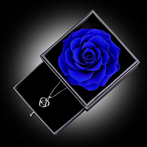 Ocosy Mothers Day Flower Gifts for Her, Preserved Real Flower Rose with Silver-Tone Heart Necklace I Love You in 100 Languages Gift Set, Enchanted Flower Rose Gifts, Blue