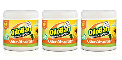 OdoBan Solid Odor Absorber Eliminator for Home and Small Spaces, Citrus Scent, 14 Ounces Each, 3-Pack