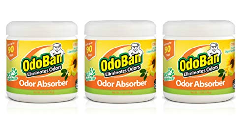 OdoBan Solid Odor Absorber Eliminator for Home and Small Spaces, Citrus Scent, 14 Ounces Each, 3-Pack