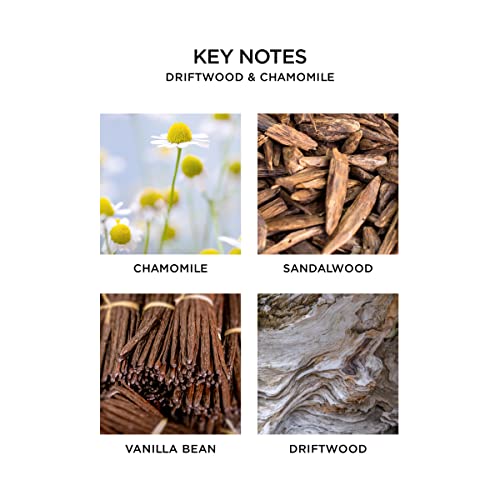 NEST New York Driftwood & Chamomile Reed Diffuser