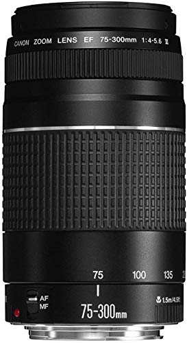 Canon EF 75-300mm f/4-5.6 III Telephoto Zoom Lens for Canon SLR Cameras (Renewed)