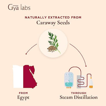 Gya Labs Caraway Essential Oil - Sweet & Spicy Scent (0.34 fl oz)