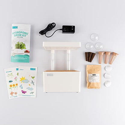 Back to the Roots Hydroponic Grow Kit, Indoor Garden (Matte White), Organic Seeds Included, Gardening Gift, Everything Included