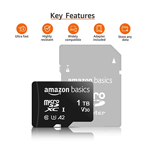 Amazon Basics microSDXC Memory Card with Full Size Adapter, A2, U3, Read Speed up to 100 MB/s, 1TB, Black