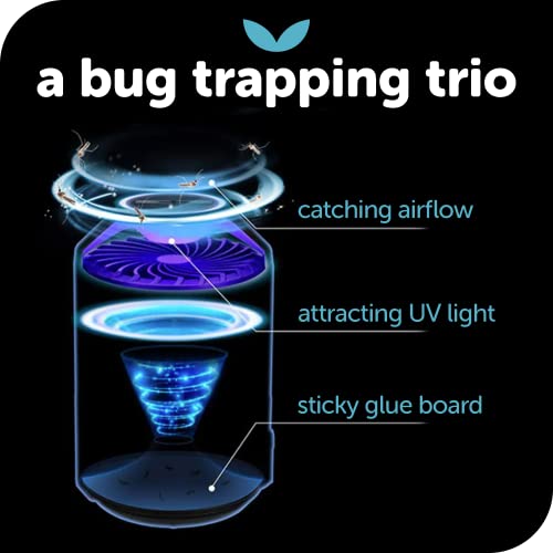 Katchy Indoor Insect Trap - Catcher & Killer for Mosquitos, Gnats, Moths, Fruit Flies - Non-Zapper Traps for Inside Your Home - Catch Insects Indoors with Suction, Bug Light & Sticky Glue (Black)