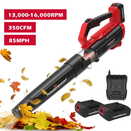 PowerSmart  20V Cordless Handheld Leaf Blower with 2 batteries and charger,PS76154A