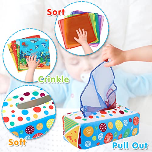 Aiduy Baby Toys 6 to 12 Months - Baby Tissue Box Toys Montessori Toys for Babies 6-12 Months - Soft Crinkle Infant Sensory Toys for 1 Year Old Early Learning Toys Baby Boys Girls Gifts