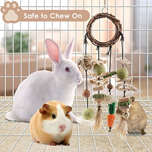 Bissap Bunny Chew Toy, Rabbits Cage Hanging Chew Toys and Treats Rattan Ring with Snacks for Guinea Pigs Chinchillas Hamsters Rats and Other Small Pets Teeth Grinding