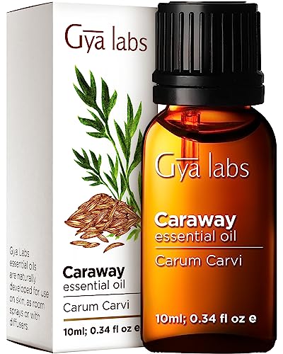 Gya Labs Caraway Essential Oil - Sweet & Spicy Scent (0.34 fl oz)