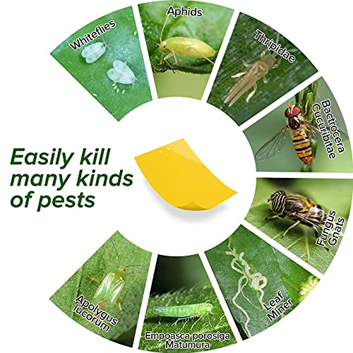 Garsum 20 Pack Gnat Sticky Traps for Indoor and Outdoor, Fruit Fly Paper Sheets Yellow Insect Killer for Flying,Whitefly, Aphids, Leafminers- 6x8 in, Twist Ties Included