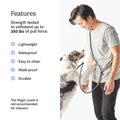 FABLE Magic Leash - Conventional Dog Leash - Hands Free Leash for Dog Walking - Can be Worn as a Belt, Bandolier, or Wrist Strap - Waterproof, Mold/Smell-Proof, & Durable - Slate - X-Small/Small