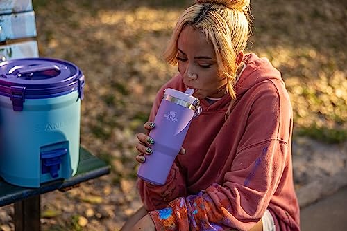 Stanley IceFlow Stainless Steel Tumbler with Straw - Vacuum Insulated Water Bottle for Home, Office or Car - Reusable Cup Leakproof Flip - Cold for 12 Hours or Iced for 2 Days (Lavender)