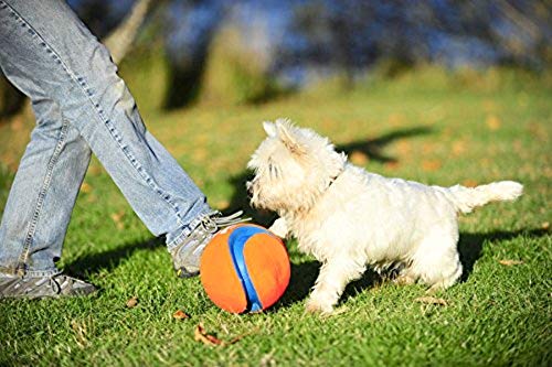 Chuckit! Kick Fetch Ball Dog Toy, Small (6 Inch)